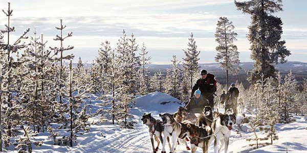Incentive - Schlittenhundfahrt Lappland