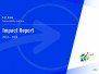 Impact Report 2018-2020